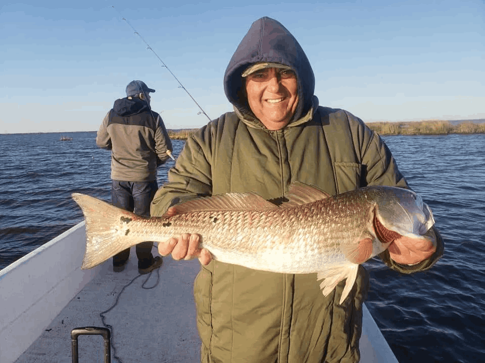 Redfish are biting!